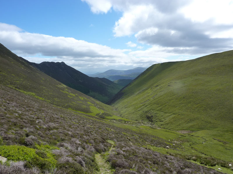 Rigg Beck